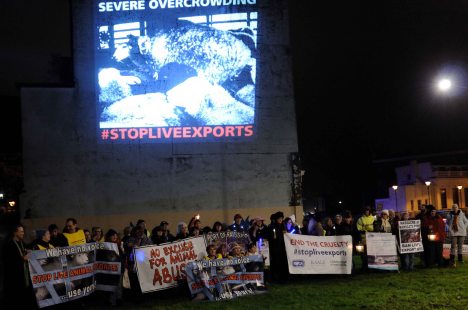 ValCameron061113_7738