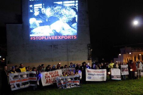 ValCameron061113_7739