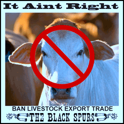 It Ain't Right - The Black Spurs