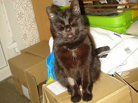 DSC08341_resize - NJANJA