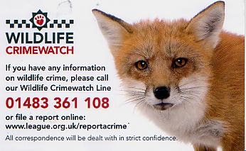 wildlife crimewatch card
