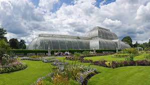 palm house kew
