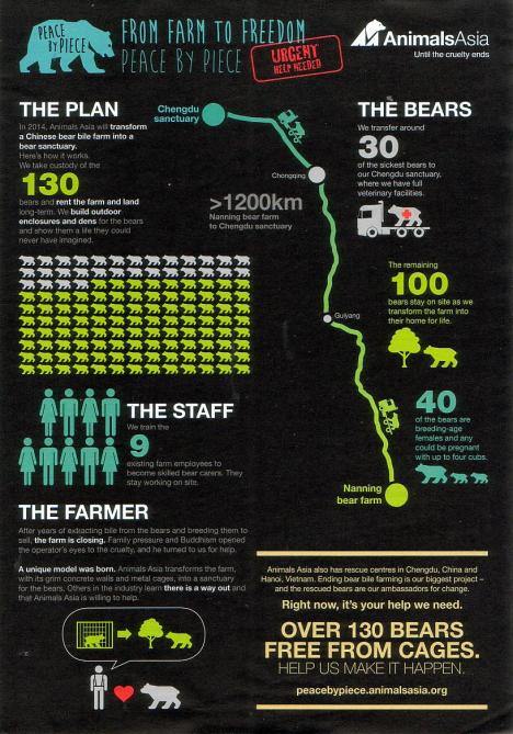 Animals Asia Excellent