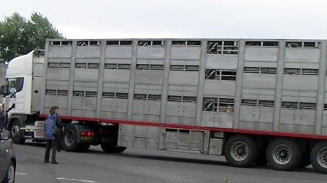 SANYO DIGITAL CAMERA