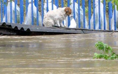 serbia flood 2