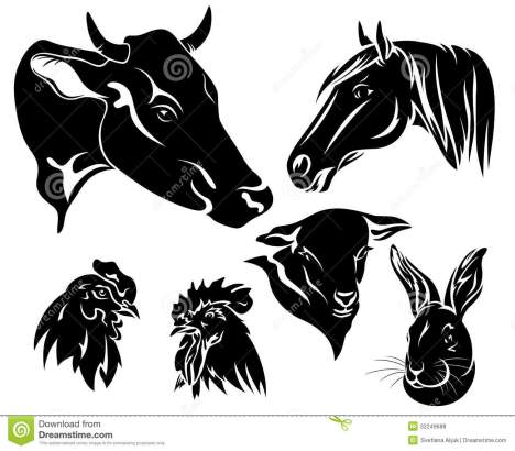 ?????????????????????????????????????????????????????????????????