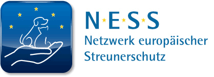 NESS logo