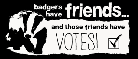 badgers animal aid.org.uk