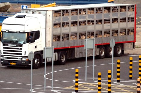 ValCameron180714_0079