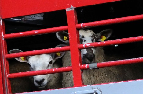 ValCameron180714_9140