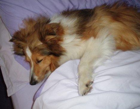 Work to do - Lazy Staff