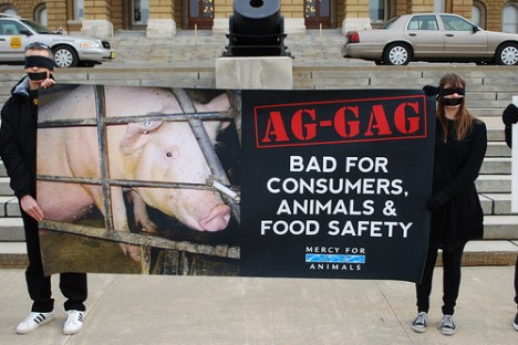ag gag 1