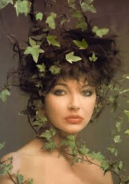 kate bush 1