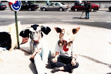 live export campaign brussels