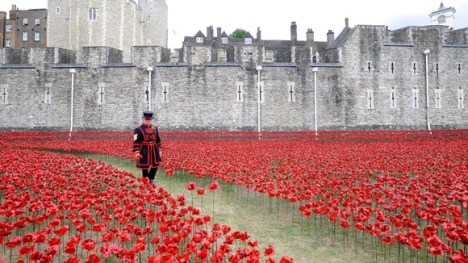 tower of london poppies 1