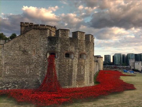 tower of london poppies 2