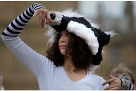 badgers this is somerset.co.uk