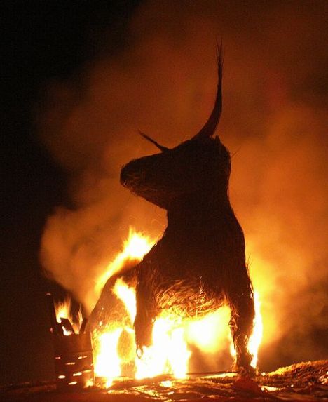 burning bull