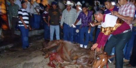 horse mexico petition