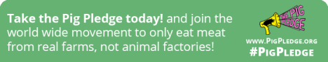 pig pledge banner