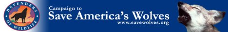 wolf_banner750
