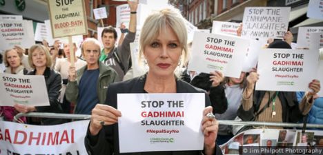 joanna-lumley-gadhimai