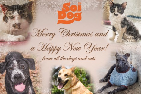 SOI Xmas card