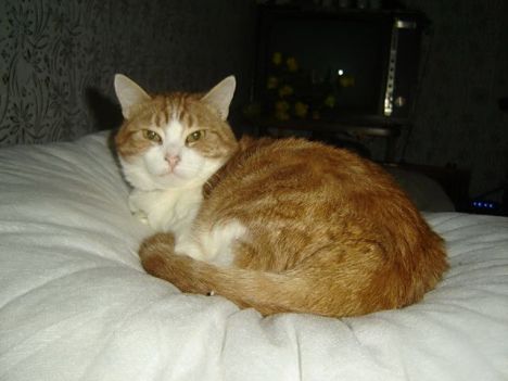 4 feb finally relaxed