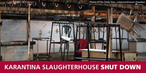 karantina-slaughterhouse-shutdown