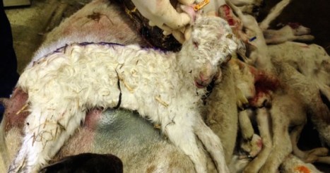 MFA US Research centre.jpp