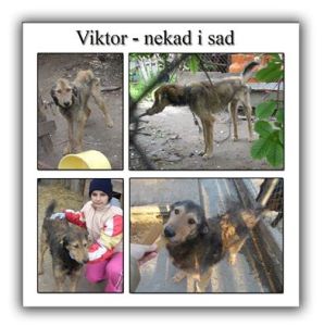 VIKTOR