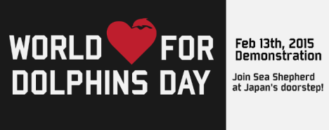 world love for dolphins day