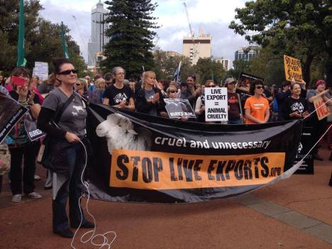 stop live exports aus