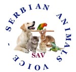 SAV Logo Blue by Paola