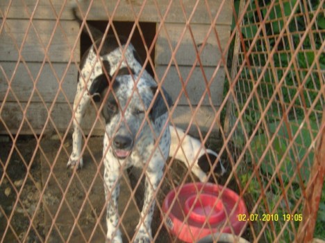 SAMSUNG DIGITAL CAMERA