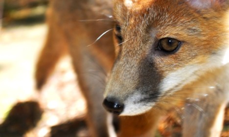 ????????????????????????????????????