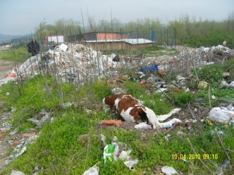 SAMSUNG DIGITAL CAMERA