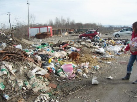 SAMSUNG DIGITAL CAMERA