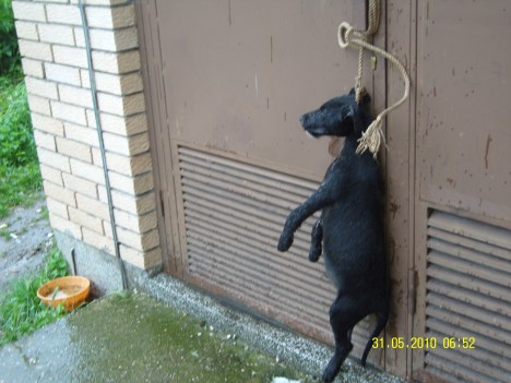 SAMSUNG DIGITAL CAMERA