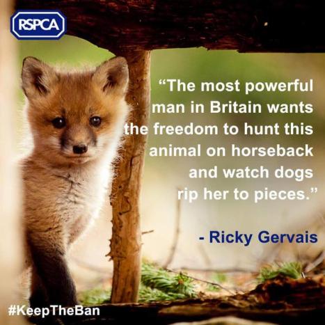 RSPCA 1