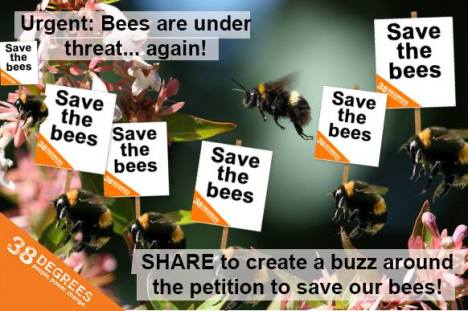 save bees 38