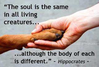 the soul is the same