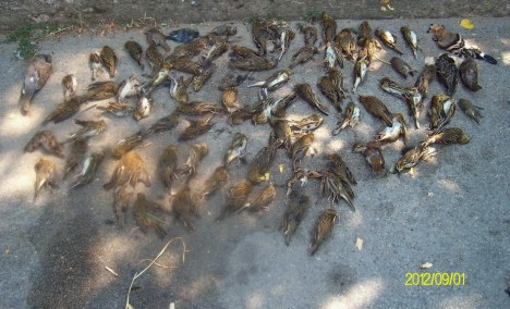 PENTACON DIGITAL CAMERA