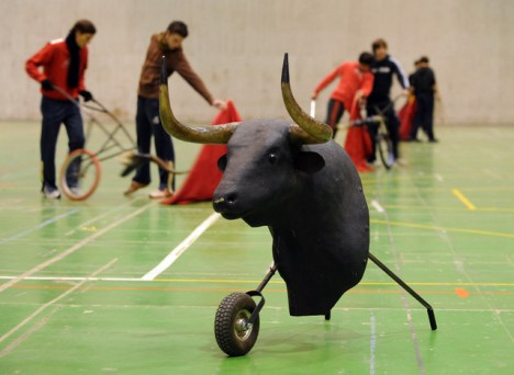 SALAMANCA, SPAIN - DECEMBER 18: Boys learn the arts of bullfighting at a bullfighting academy on December 18, 2009 in Salamanca, Spain. Catalonia's regional parliament voted December 18th in favour of debating a ban on bullfighting in their autonomous Spanish region. (Photo by Denis Doyle/Getty Images)