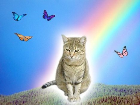 danica 27 oct maxine