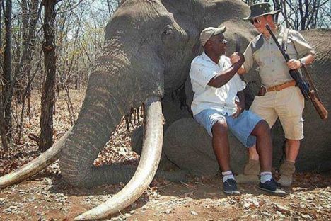 German elephant hunter