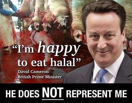 Cameron Halal