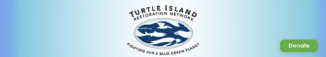 cropped-turtle-island.jpg