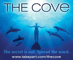 The cove advert
