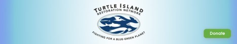 turtle island